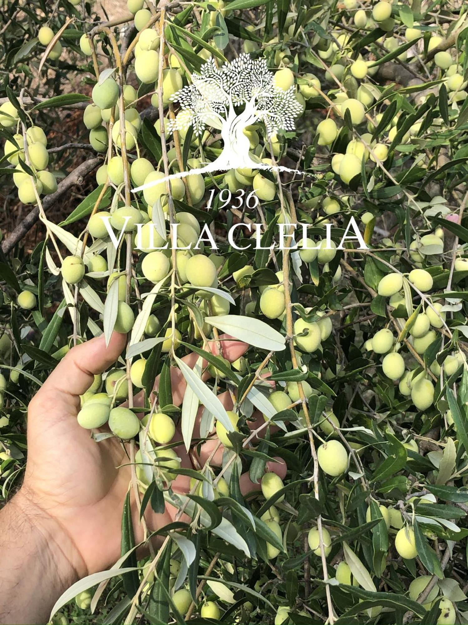 Il Palmento Di Villa Clelia 1936 Locri Esterno foto